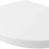 Villeroy & Boch Architectura - WC Sitz, SoftClosing, QuickRelease, Alpinweiß 9M83S101 -Villeroy & Boch 7a8883e10812fe81919f3269