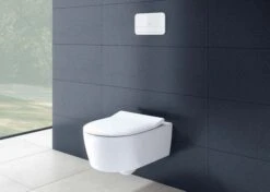 Villeroy & Boch ViConnect E200 92249068 Betätigungsplatte, Weiß, Aus Kunststoff -Villeroy & Boch Villeroy and Boch ViConnect E200 92249068 Betaetigungsplatte weiss aus Kunststoff 2