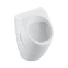 Villeroy & Boch O.novo - Absaug-Urinal, 335 X 560 X 320 Mm - Alpinweiß 75240001 -Villeroy & Boch b69f80ff653958af86613dd8